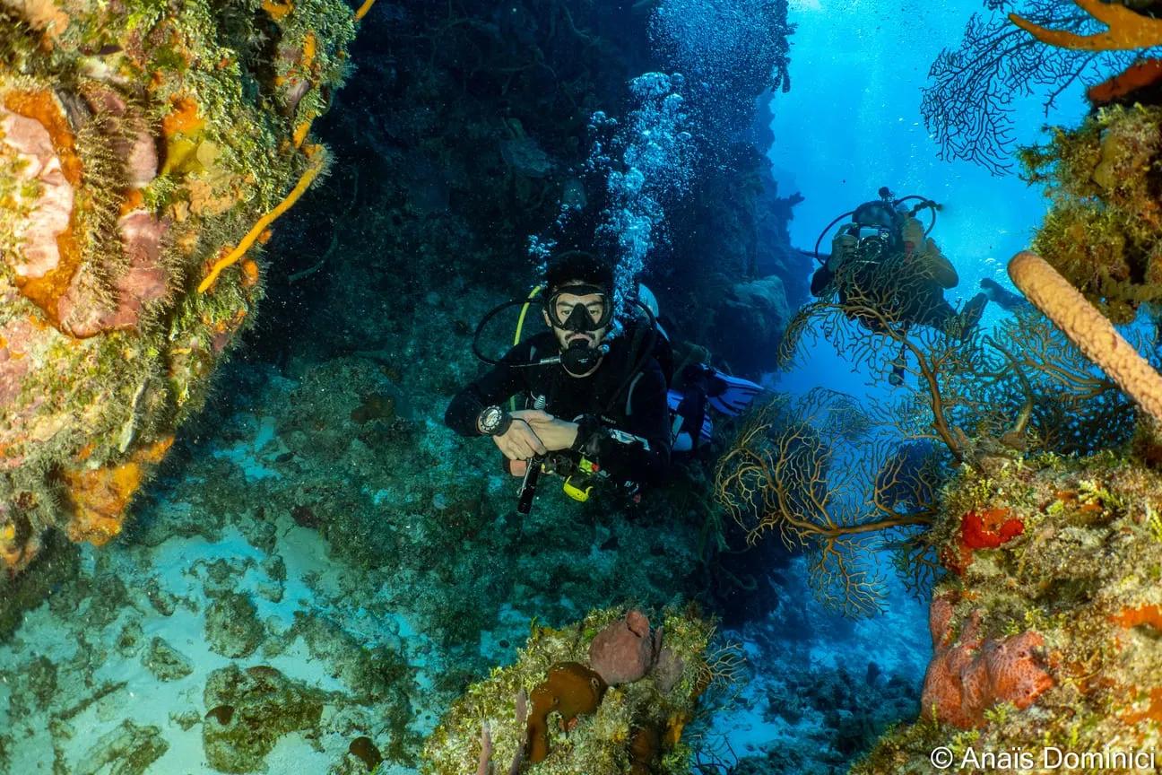 buzo en barco - © dune mexico