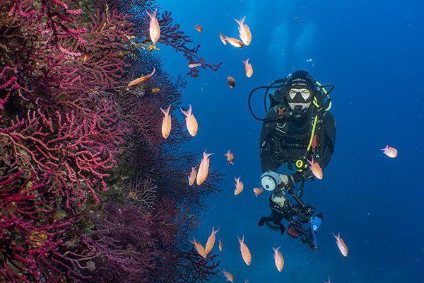 Deep Diver - Dune Marseille - © Anais Dominici